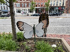 Dan Dorrough; Our Daily Walk; Skips Flooring Butterfly